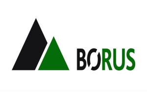 Спецтехника BORUS